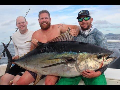 download lagu mp3 mp4 Panama Sport Fishing Lodge, download lagu Panama Sport Fishing Lodge gratis, unduh video klip Panama Sport Fishing Lodge