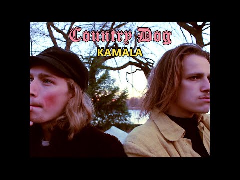 COUNTRY DOG High Energy 15kg video