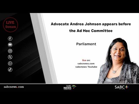 Parliament Ad Hoc Committee | Advocate Andrea Johnson