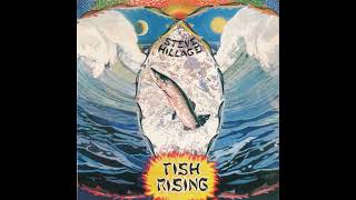 STEVE HILLAGE - SOLAR MUSICK SUITE SUNSONG I LOVE ITS HOLY MYSTERY [ FROM ALBUM 'FISH RISING' 1975 ]