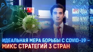 ИДЕАЛЬНАЯ МЕРА БОРЬБЫ С COVID-19 – МИКС СТРАТЕГИЙ 3 СТРАН