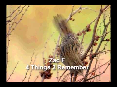 Zac F - 4 Things 2 Remember