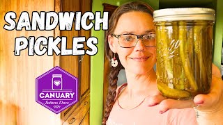 Canning Pickles | #canuary2025 | Hamakua Homestead