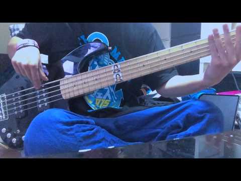 Ignite Your Frail Mind/Fear,and Loathing in Las Vegas(Bass Cover)ちんすん