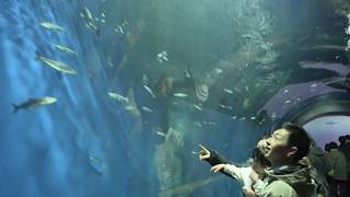 3月10日【びわ湖放送ニュース】琵琶湖博物館で一夜限りのナイトミュージアム　来場者でにぎわう