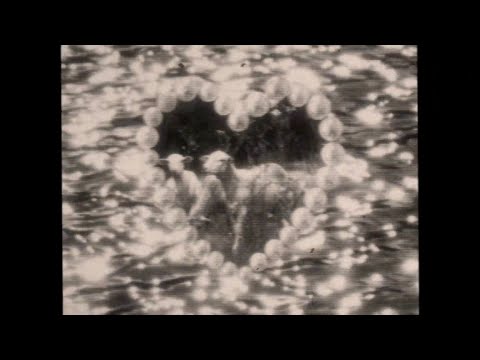 Violet Grohl - Applefish (Official Lyric Video)