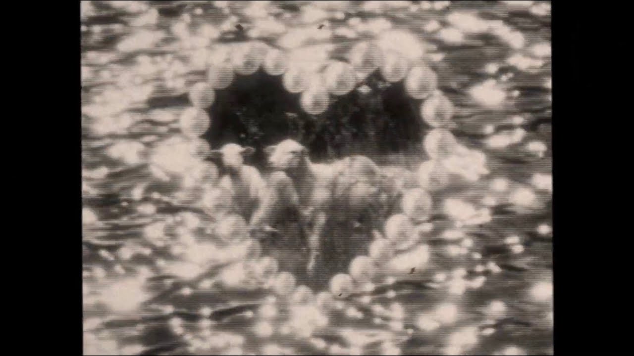 Violet Grohl - Applefish (Official Lyric Video) - YouTube