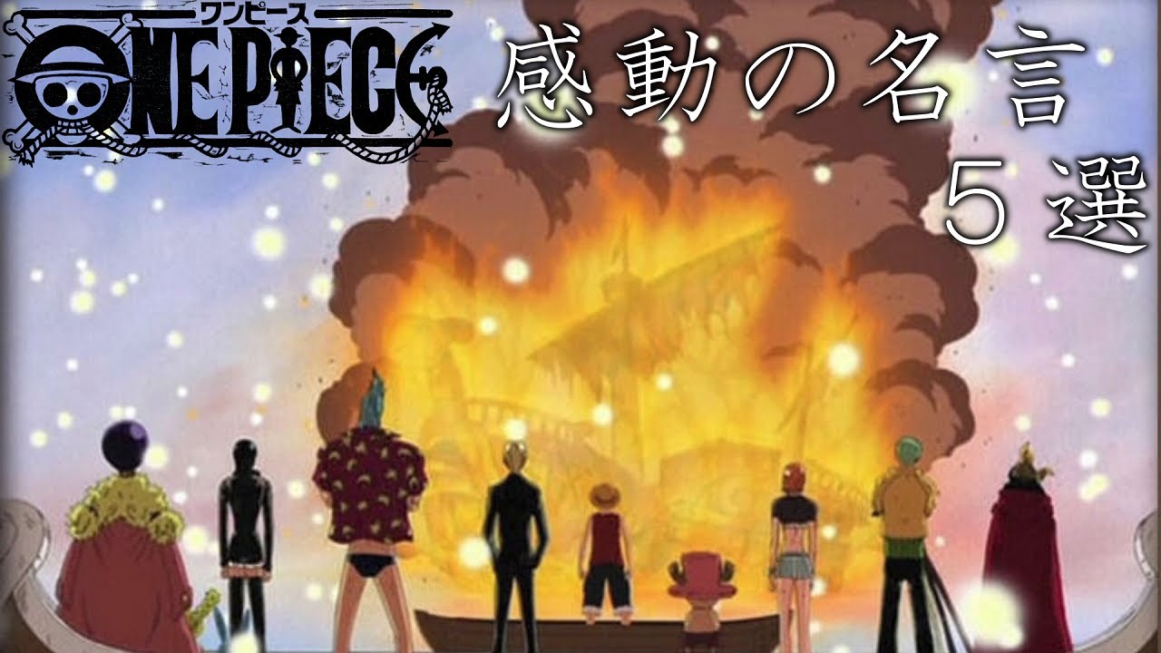 【ランキング】ワンピースの心に刺さる名シーン5選
