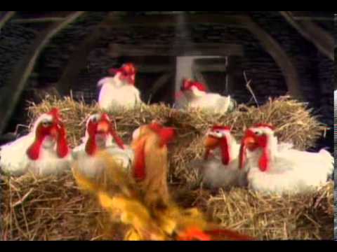 Muppet Chickens - Baby Face