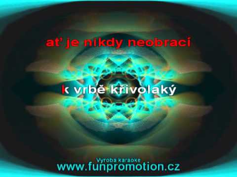 Olympic - hvězda na vrbě - karaoke