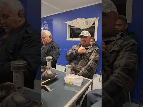 Kalapu Falepapa Himi 321