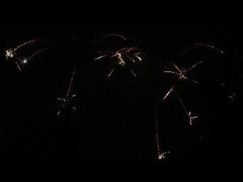 3” Tit Chrys Crossette x2