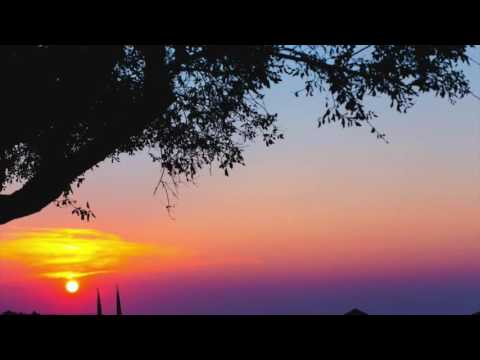 IQ Musique Feat. Tshaka Campbell - Duva (Le Croque Remix)