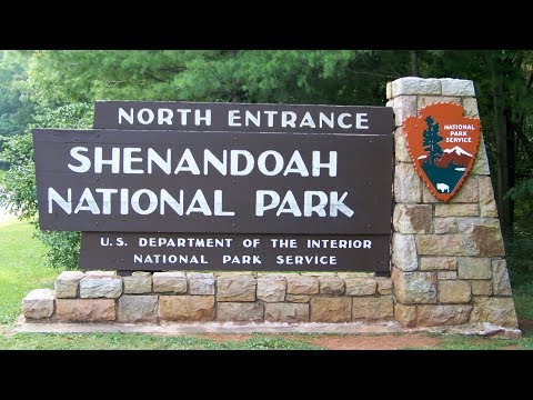 Skyline Drive: Shenandoah National Park
