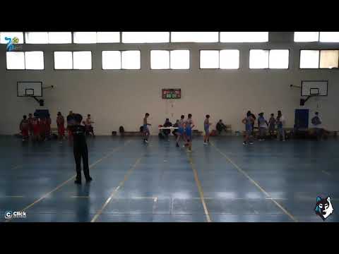 PRECADETE MASCULINO: CB 7 Palmas - CB Telde