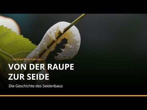 Seidenbau - von der Raupe zur Seide