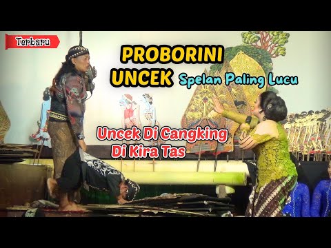 THE MOST FUNNY SPELL, SINDEN CAN'T CONTINUE LAUGHING // UNCEK & PROBORINI NEWEST 2024