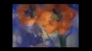 Pale Saints - Kinky Love