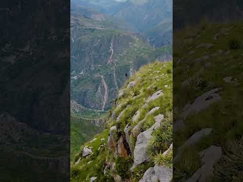 Ccapi Paruro Cusco🇵🇪 #viajeinolvidable #paisajesextremos #turismo #cusco #peru #travel #viral #rocas