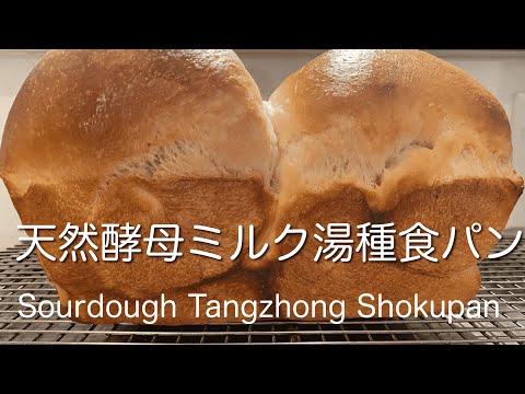 SUB) 自家製天然酵母ミルク湯種食パン作り方 翌日もふわふわ/ Sourdough Soft Japanese Hokkaido Milk Bread Recipe Tangzhong Method