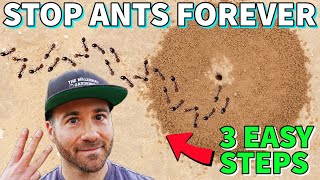 Make Your Yard ANT FREE FOREVER In 3 Easy Steps