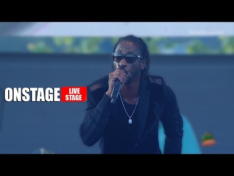 Rodney Pryce Just As Bad As Bounty Killer! (Full Performance) Rebel Salute 2019