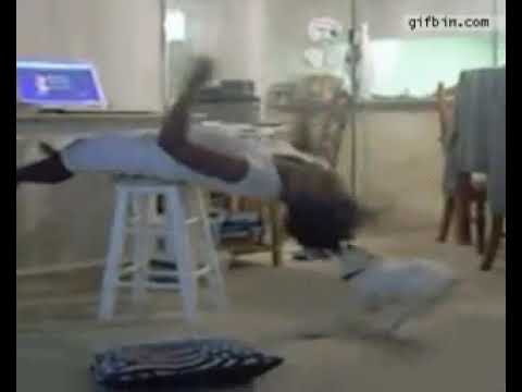 When owner not given meal to dog then see dog do