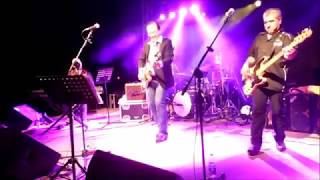Albert Ray Band -  Whole lotta shakin goin on -  live 2017