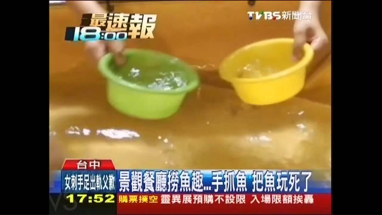 景觀餐廳撈魚趣！手抓魚　把魚玩死了