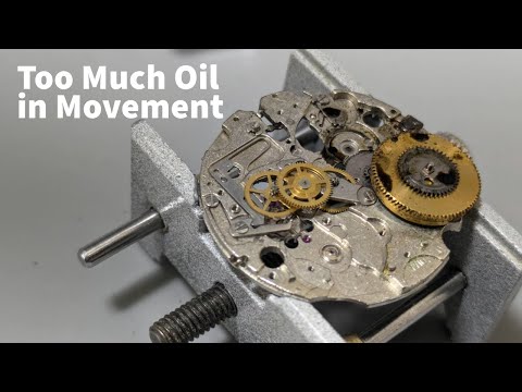 Citizen Leopard - A beast born in the 1970s