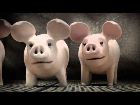 Thumbnail for video: A Pig's Tail