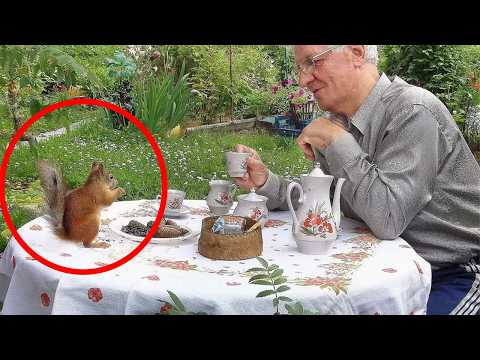 Quand le système de distribution des animaux vous choisit🤪 drôles de vidéos d'animaux 2025