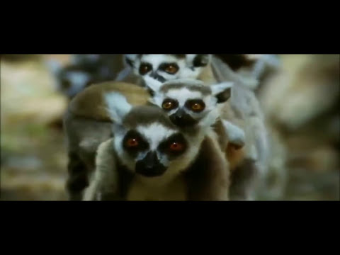 MR.BEATUS - SEELENFLUG