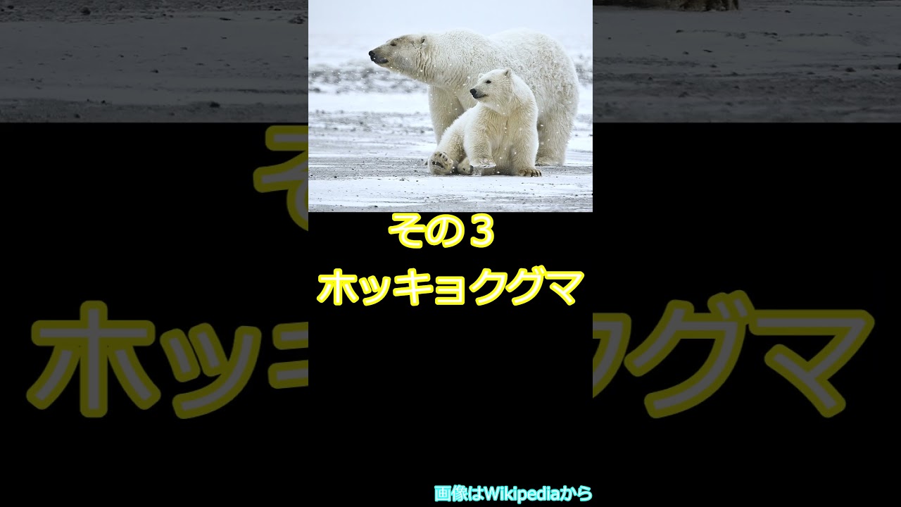 [No.18]いつもの動物園に守るべき命がいる