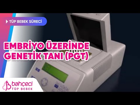 Embriyo Üzerinde Genetik Tanı (PGT)