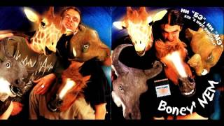 Boney NEM - Living la vida loca (Живу сумасшедшей жизнью)