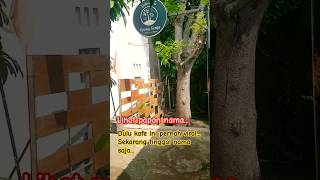 Download lagu Penampakan Kafe Ujung Senja 2024 mp3