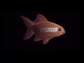 Nickelodeon Fish Bumper 0 25x Documentary