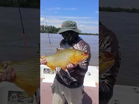 LA BARRA DE MORTEROS PESCANDO EN PUERTO YERUA.#pesca #fishing #fish #rio #pez #amigos #guia #lancha