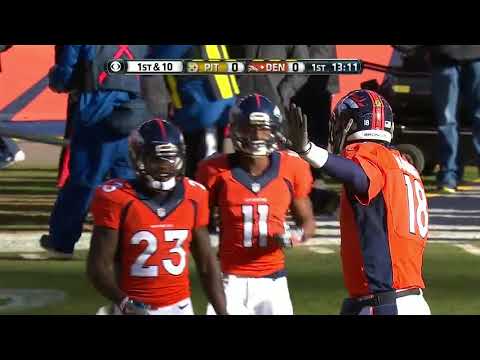 2015 Divisional Round Steelers @ Broncos