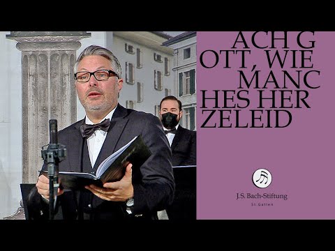 Bachstiftung