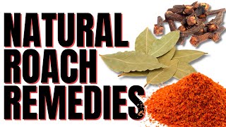 Natural Ways To Get Rid Of Roaches FOREVER