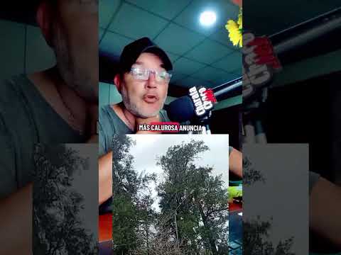 Charata con frío, calor, frío