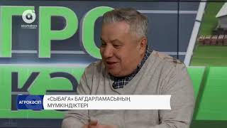 "Сыбаға" бағдарламасының мүмкіндіктері