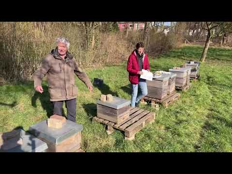 Trost-Ausgabe - Live von Pias Bienenstand - 5.3.