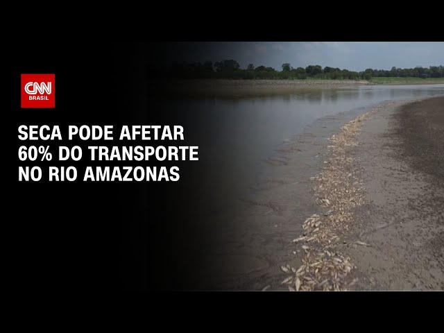 Seca pode afetar 60% do transporte no rio Amazonas | LIVE CNN