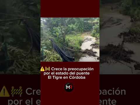 ⚠️🚧 Crece la preocupación por el estado del puente El Tigre.