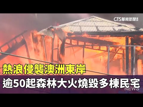 熱浪侵襲澳洲東岸　逾50起森林大火燒毀多棟民宅