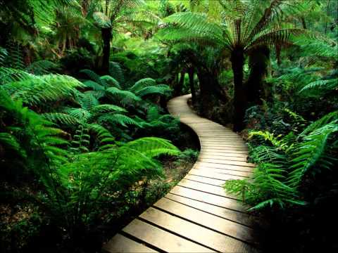 DJ Tatana Feat. Jael - Always On My Mind