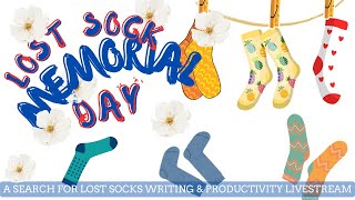 Where’s My Sock? | A Sock Monster Writing & Productivity Stream